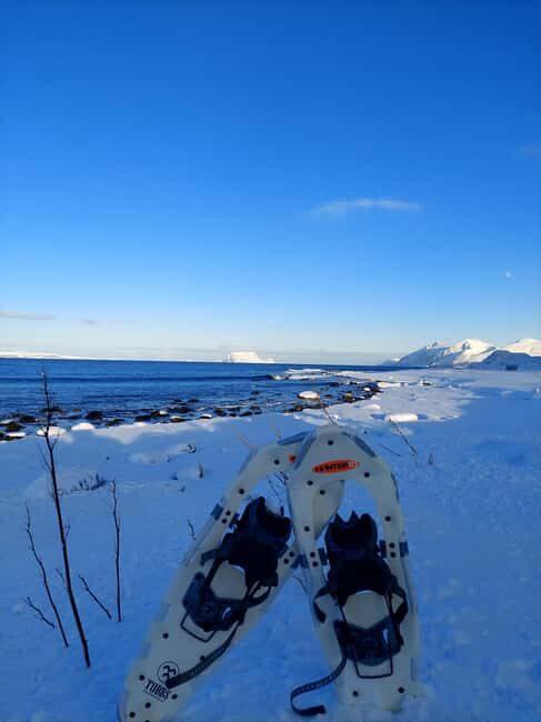 Tromsø: Snowshoe Hike to Lyngstuva Lighthouse with Lunch - Transport and Group Size