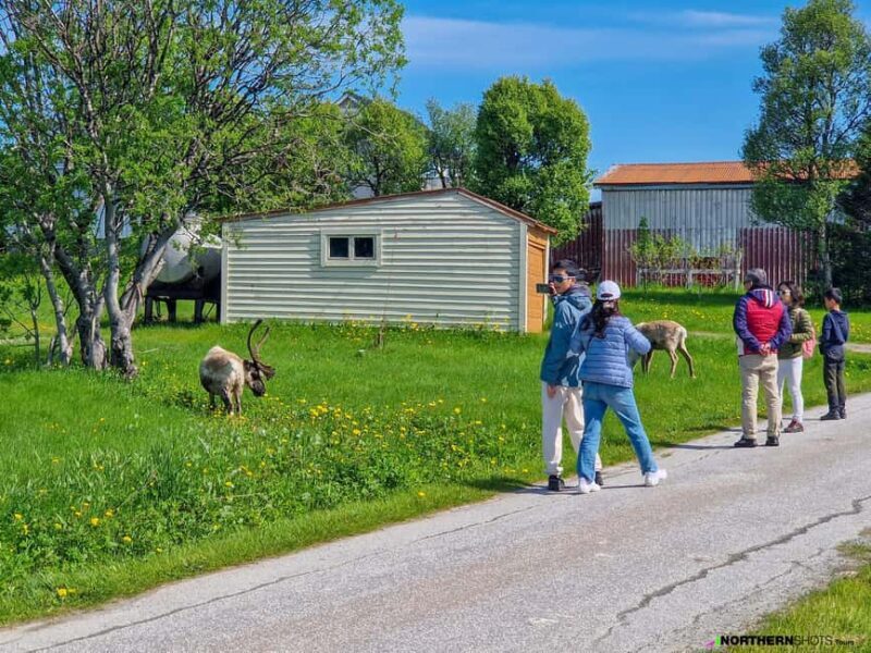 Tromsø: Sommaroy Fjord Tour with Lunch Option - Is This Tour Right for You?