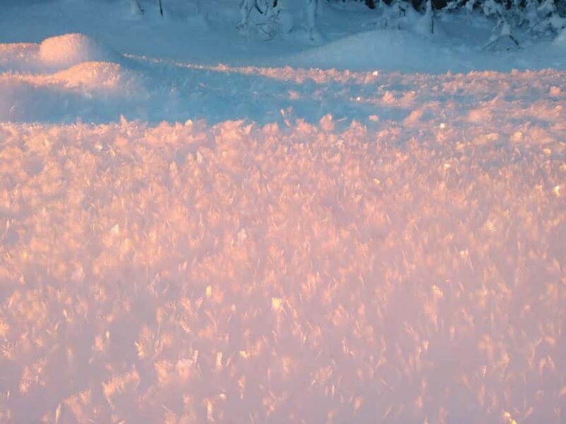 Tromsø Street to Wilderness: Guided Snowshoe Hike - FAQs