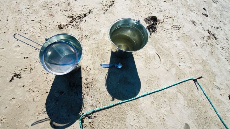 Tromsø: Summer Fjord Road Trip with Citizen Science - What We Loved and What to Consider