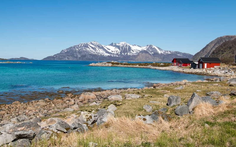 Tromsø: Summer Fjord Road Trip with Citizen Science - Is This Tour Right for You?