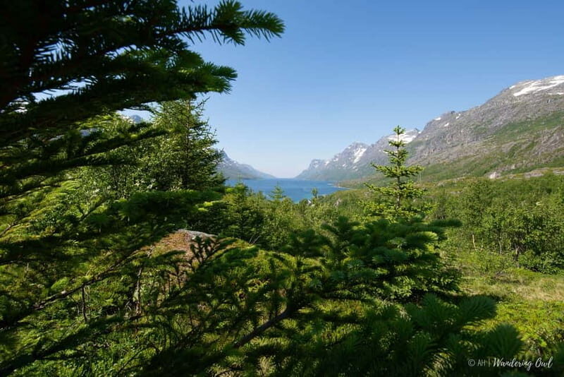 Tromsø: Summer Fjord Road Trip with Citizen Science - FAQ