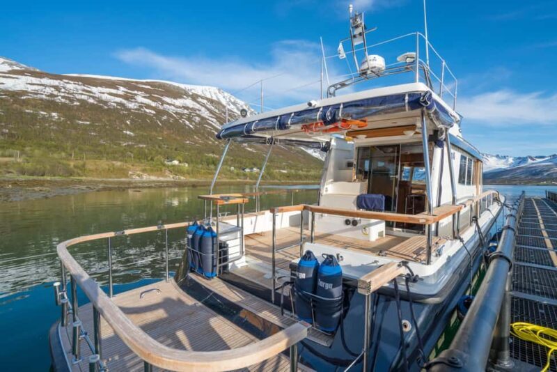 Tromsø: Whale Watching VIP Boat Tour with Lunch - Key Points
