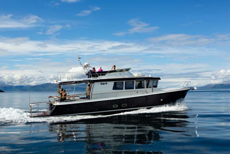 Tromsø: Whale Watching VIP Boat Tour with Lunch - Setting Off from Tromsø: A Scenic Journey