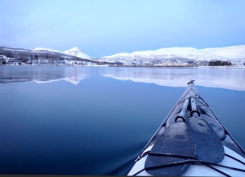 Tromsø: Winter Sea Kayaking Tour with Wildlife Sightings - Key Points
