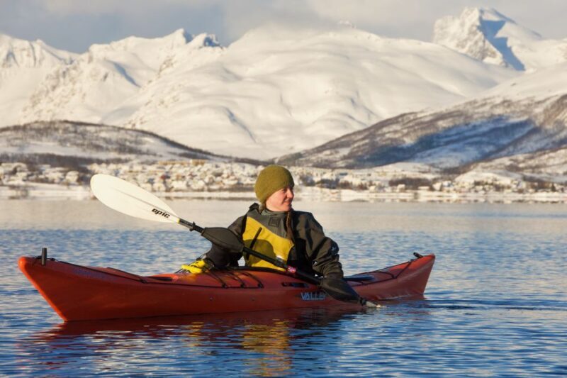 Tromsø: Winter Sea Kayaking Tour with Wildlife Sightings - The Itinerary: What to Expect from Start to Finish