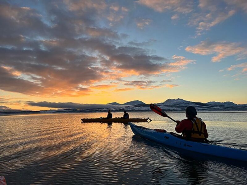 Tromsø: Winter Sea Kayaking Tour with Wildlife Sightings - The Value: Is It Worth the Price?