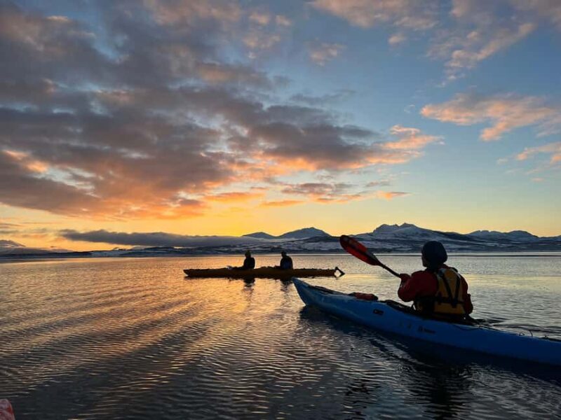 Tromsø: Winter Sea Kayaking Tour with Wildlife Sightings - Who Will Love This Tour?