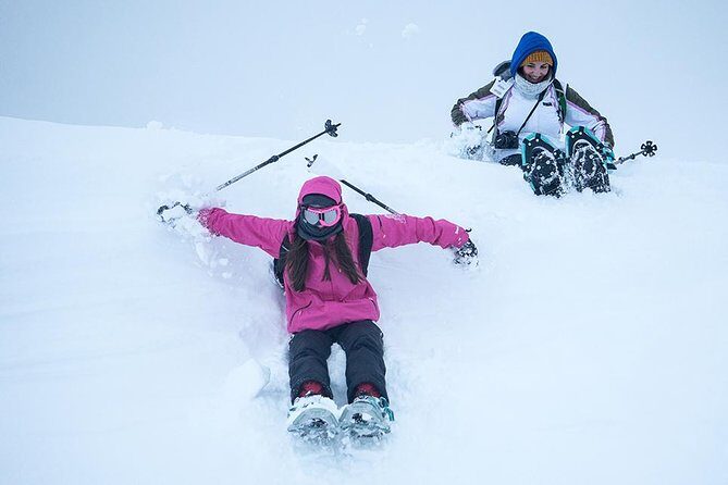 Tromsø: Winter Snowshoeing with Wandering Owl - What to Expect on the Tour