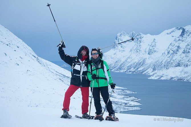 Tromsø: Winter Snowshoeing with Wandering Owl - Who Is This Tour Best For?