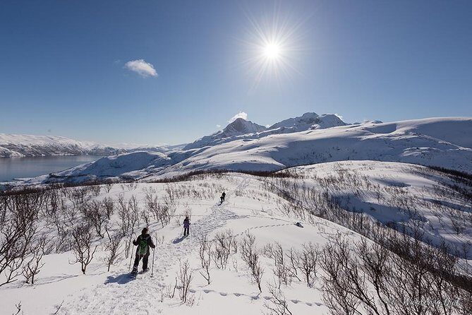 Tromsø: Winter Snowshoeing with Wandering Owl - FAQ