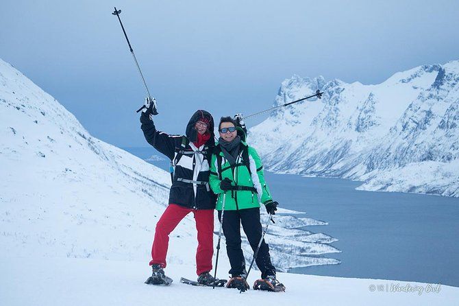 Tromso Snowshoeing - Valley, Fjord Views, Wildlife, Meal & Pickup - Wildlife spotting: reindeer sightings are common, not guaranteed