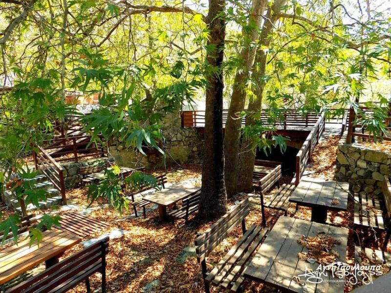 Troodos Mountains: Intangible Heritage Tour with Tastings - Key Points