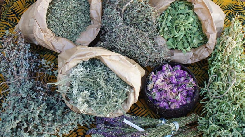 Troodos Villages and Kykkos Monastery from Paphos in Polish - Key Points