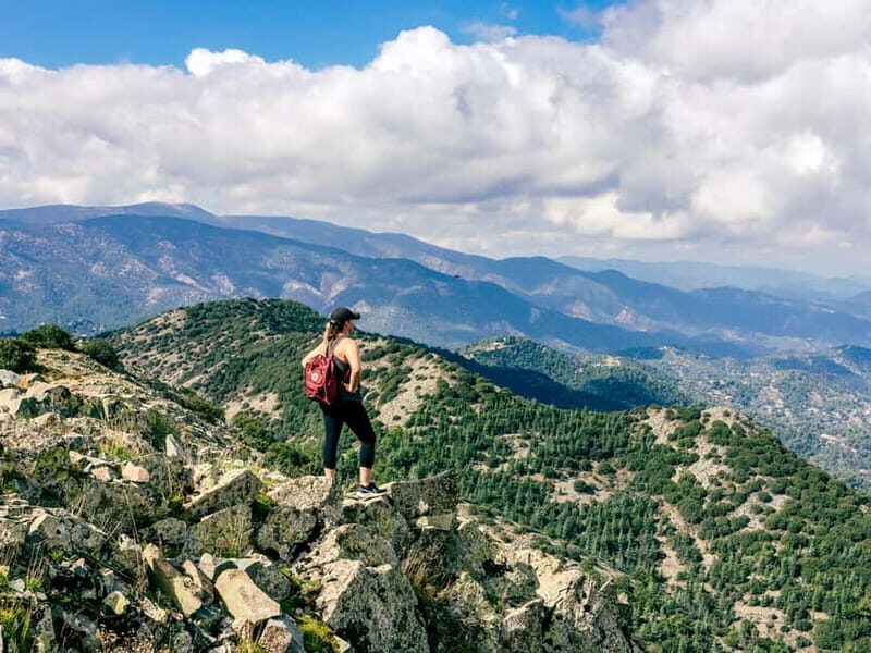 Troodos Villages and Kykkos Monastery from Paphos in Polish - Who Is This Tour Best For?