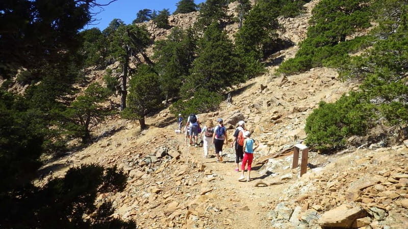 Troodos walking trip - The Artemis Trail: The Highest in Cyprus