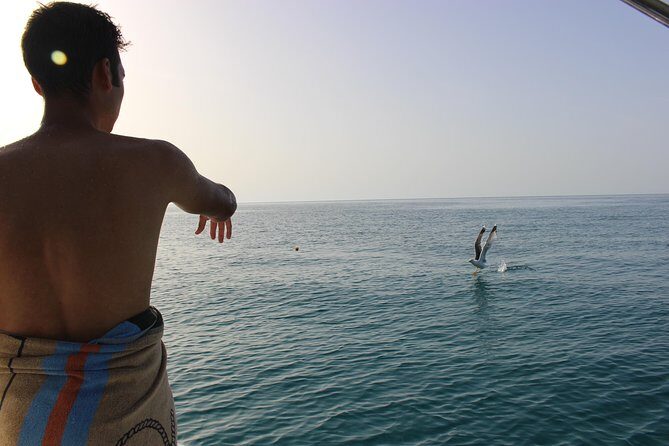 Tropea - Briatico - Zambrone - FAQs