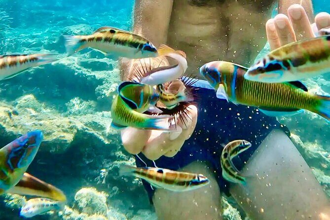 Tropea, Exclusive tour 15-meter Sailing Boat - 4h with Aperitif - Who Is This Tour Best For?