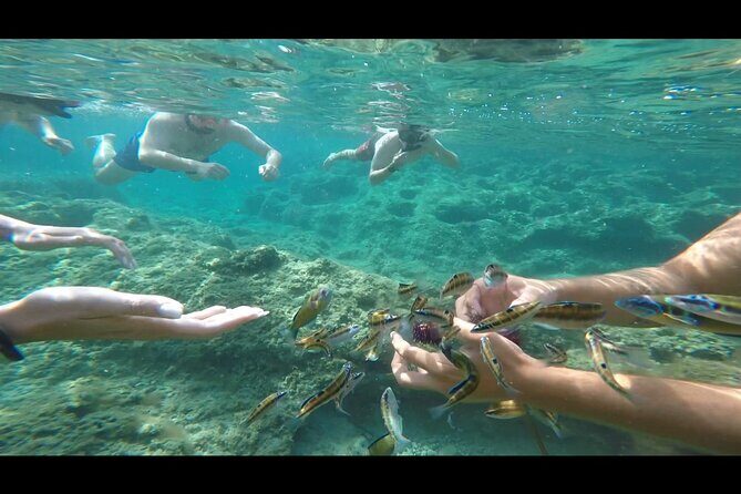 Tropea private boat tour - FAQ