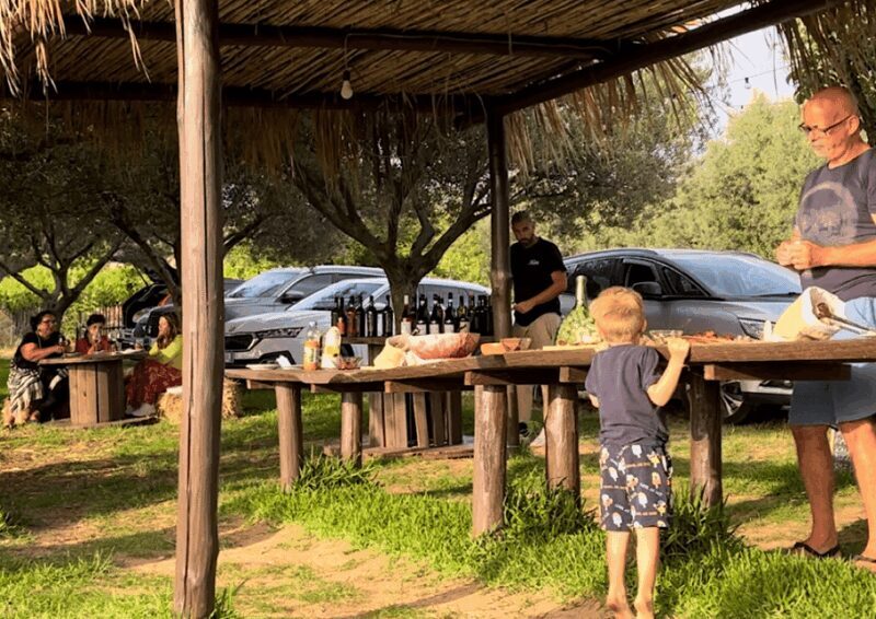 Tropea: Wine and Food Tasting - Key Points