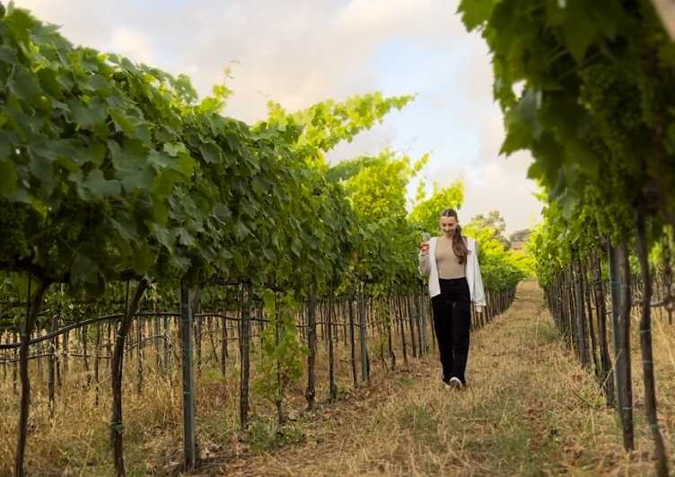 Tropea: Wine and Food Tasting - What the Experience Looks Like in Detail