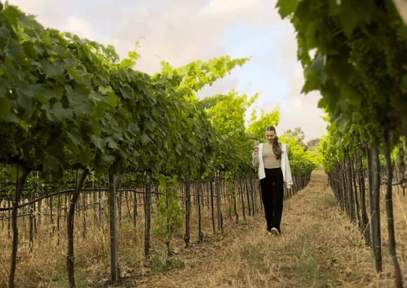 Tropea: Wine and Food Tasting - Final Thoughts