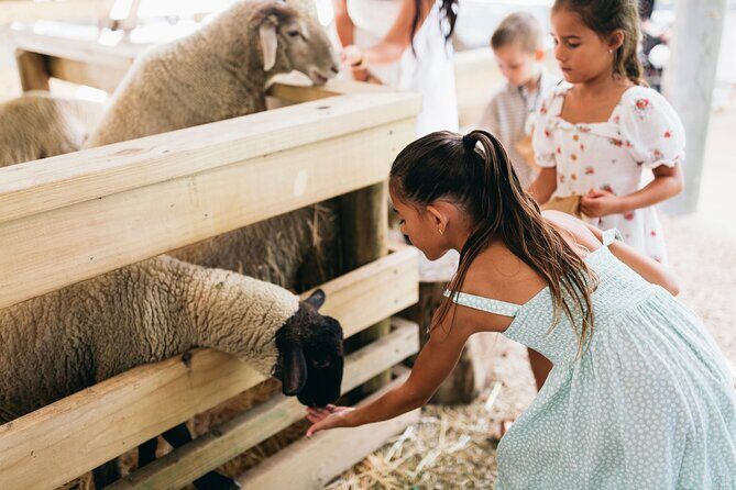 Tropical Fruit World Farm Full Tour - Who Should Consider This Tour?