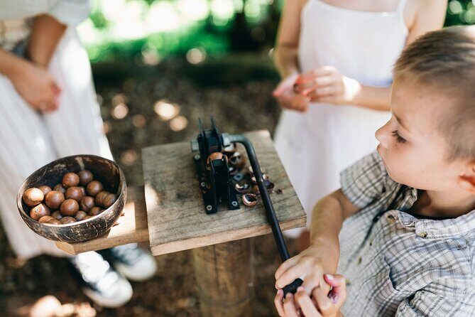 Tropical Fruit World Farm Full Tour - Wrapping It All Up