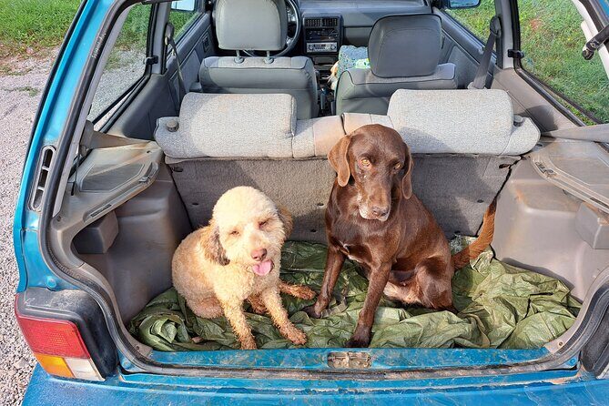 Truffle hunting adventure - Authentic and Heartfelt: What Our Readers Say