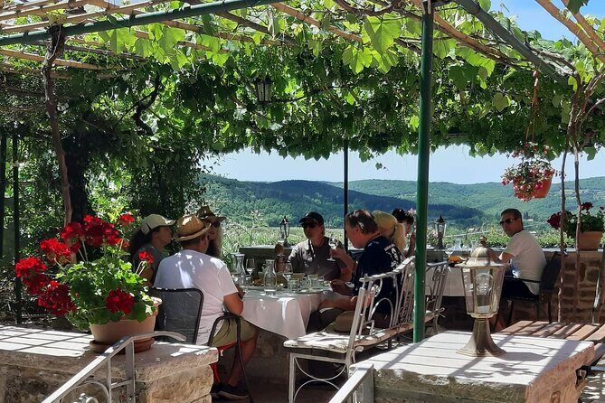 Truffle hunting adventure - Who Will Love This Tour?