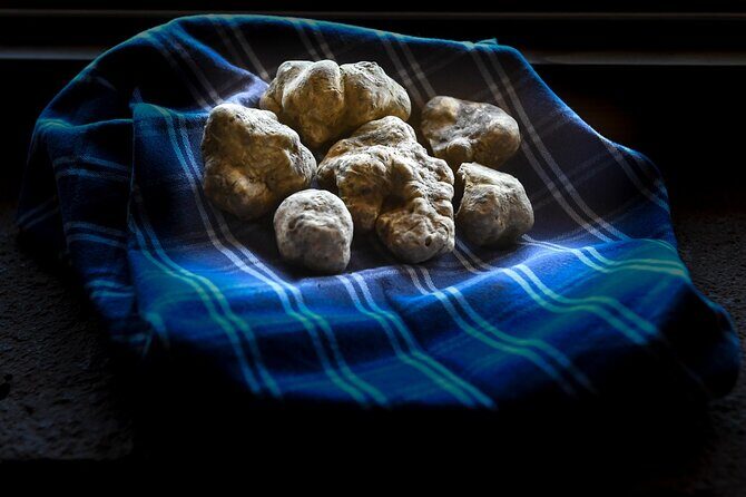 Truffle Hunting and Handmade Pasta in Ascoli Piceno - Key Points