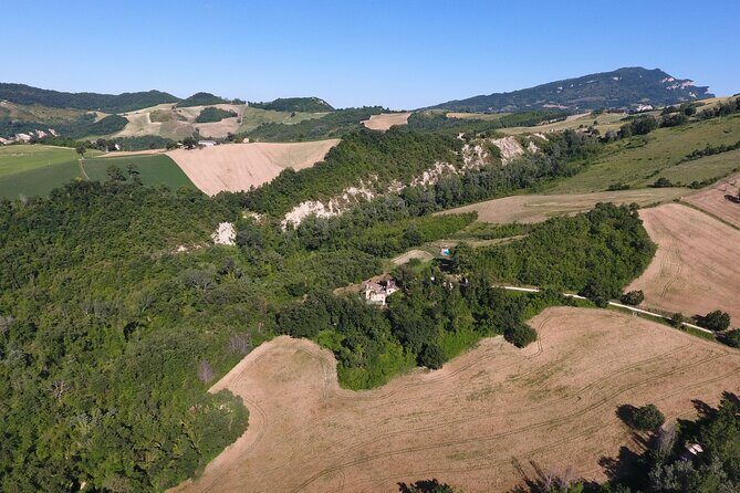 Truffle Hunting and Handmade Pasta in Ascoli Piceno - Who Would Love This Tour?
