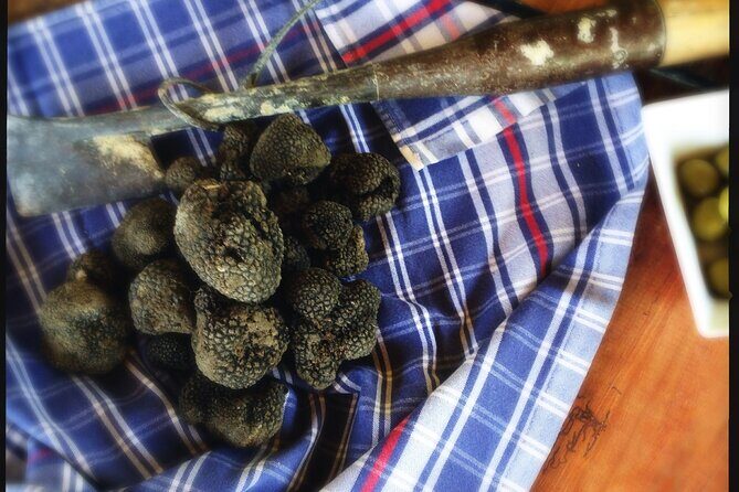 Truffle Hunting and Handmade Pasta in Ascoli Piceno - Final Thoughts