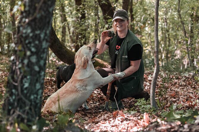 Truffle hunting & cooking tour - The Experience: What You Can Expect