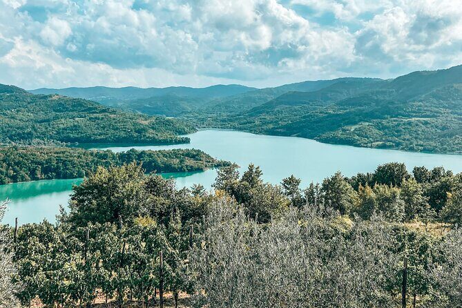 Truffle hunting & cooking tour - FAQ