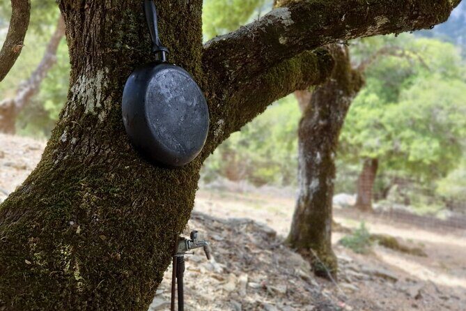 Truffle Hunting, Culinary & Wine Celebration from Elounda - Key Points