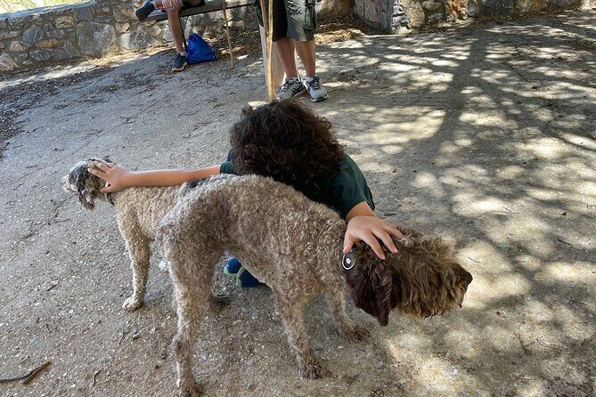 Truffle Hunting, Culinary & Wine Celebration from Elounda - Final Thoughts: Who Will Love This Tour?