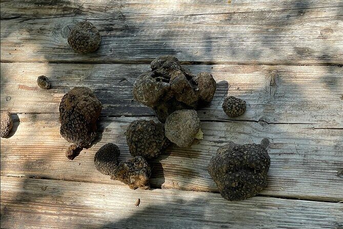 Truffle Hunting, Culinary & Wine Celebration from Elounda - Frequently Asked Questions