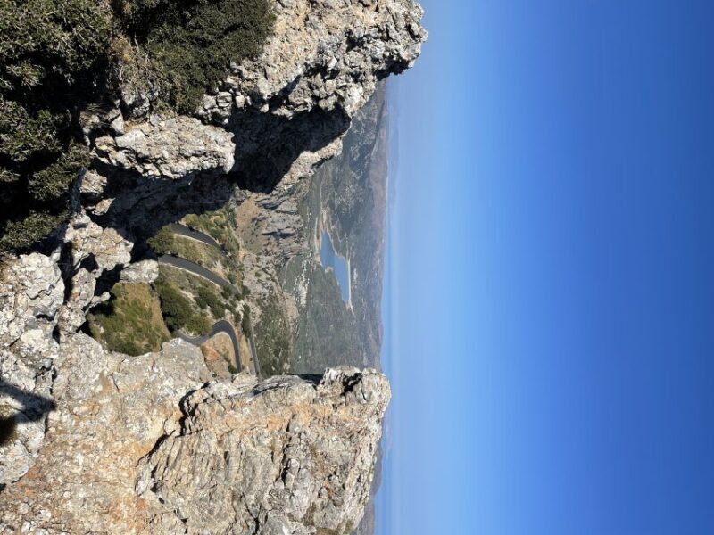 Truffle Hunting, Culinary & Wine Celebration from Heraklion - A Detailed Look at the Experience