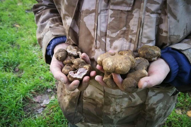 Truffle hunting - The Guides and the Experience