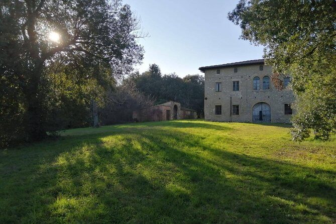 Truffle hunting - The Practical Details: Price, Duration, and Logistics