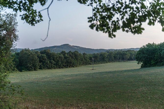 Truffle hunting - Who Should Consider This Tour?