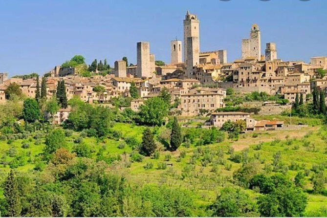 Truffle hunting - Final Verdict