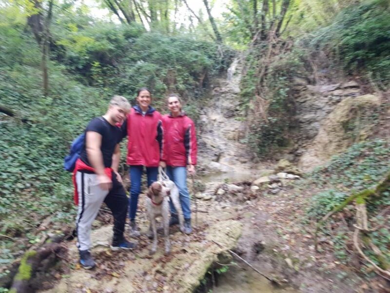 Truffle Hunting Experience with a Guide - Worth the Price?