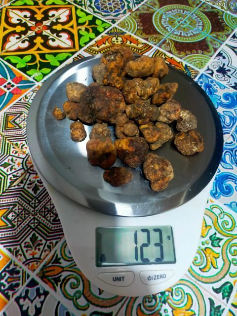 Truffle Hunting Experience with a Guide - The Reviewers’ Perspective