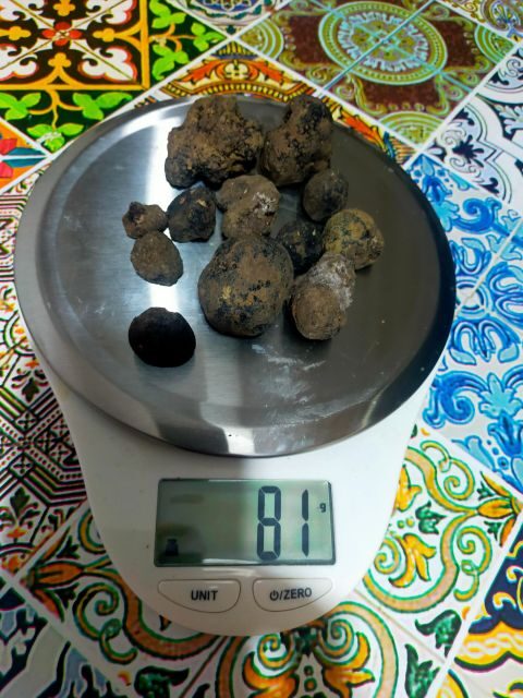 Truffle Hunting Experience with a Guide - FAQs