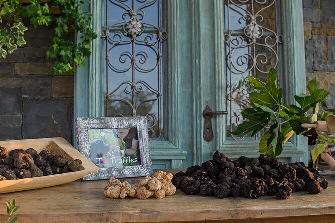 Truffle hunting for Nature Enthusiasts - Final Thoughts