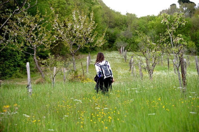 Truffle hunting + gourmet tasting (transfer included) - The Practicalities