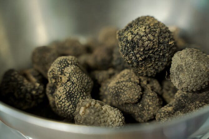 Truffle hunting + gourmet tasting (transfer included) - What Do the Reviews Say?