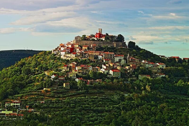 Truffle hunting in Istria private experience - What to Expect from the Truffle Hunt in Istria